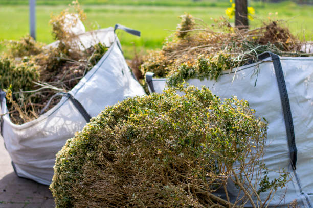 Best Local Junk Hauling  in Rainbow, CA